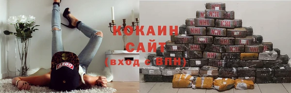 шишки Абинск