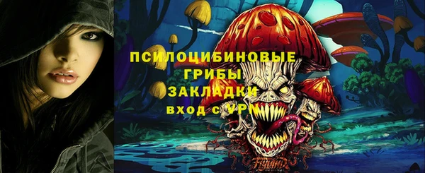 ГАЛЛЮЦИНОГЕННЫЕ ГРИБЫ Алексин