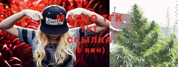 шишки Абинск