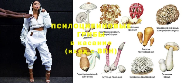 стаф Алексеевка